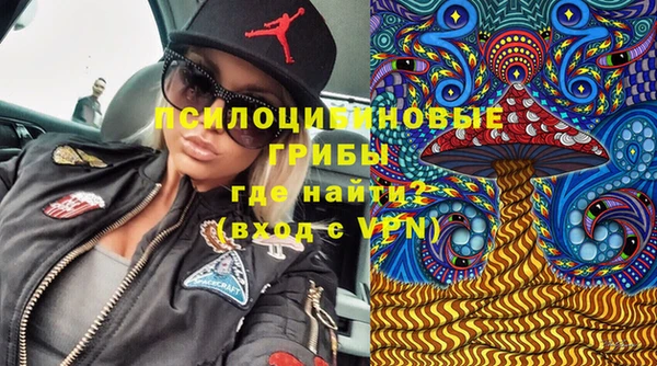 шишки Иннополис