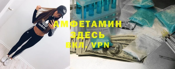 шишки Иннополис