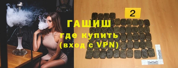 тгк Инсар