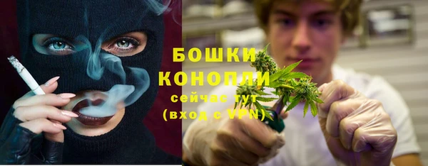 шишки Иннополис