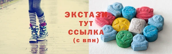 тгк Инсар