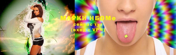 тгк Инсар