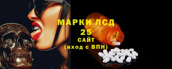 тгк Инсар