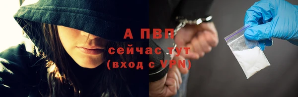шишки Иннополис