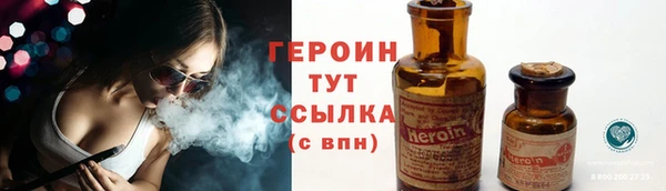 тгк Инсар