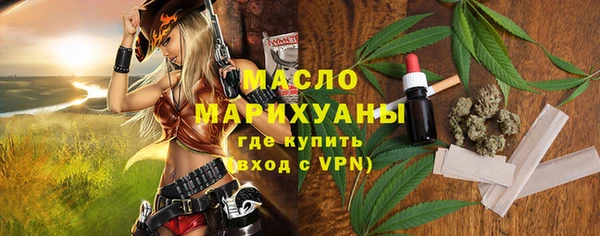 тгк Инсар