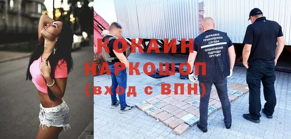 тгк Инсар