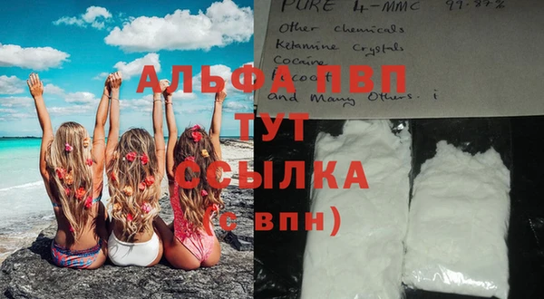 тгк Инсар
