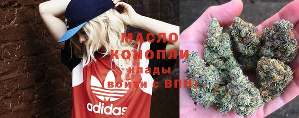 тгк Инсар