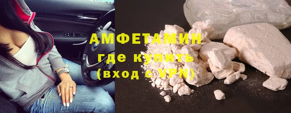 тгк Инсар