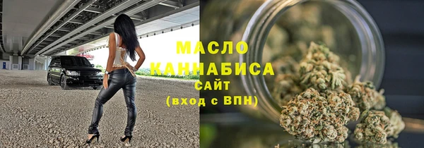 тгк Инсар