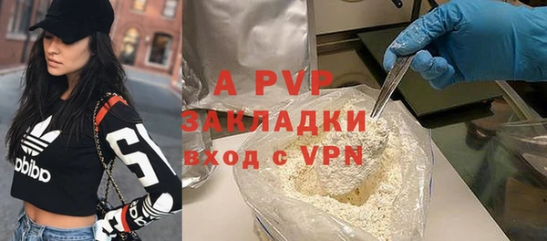 тгк Инсар