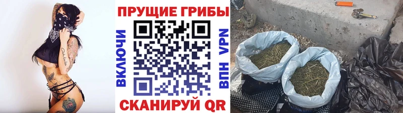 Купить  Лангепас  Псилоцибиновые грибы ЛСД 